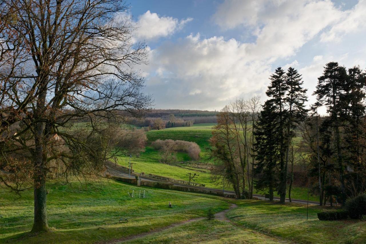 Domaine Des Myosotis, Chambres D'Hotes Saint-Honoré Zewnętrze zdjęcie
